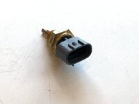 Temperature sensor DFSK 1.0