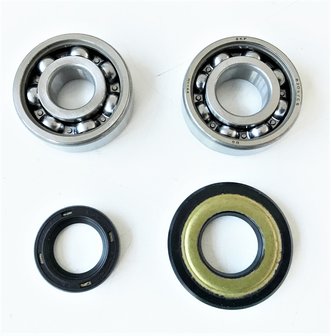 Crankshaft bearing kit complete Ape50 - imitation