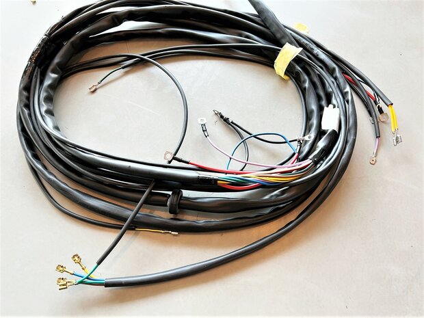 Wire harness Vespacar P2 - Petrol