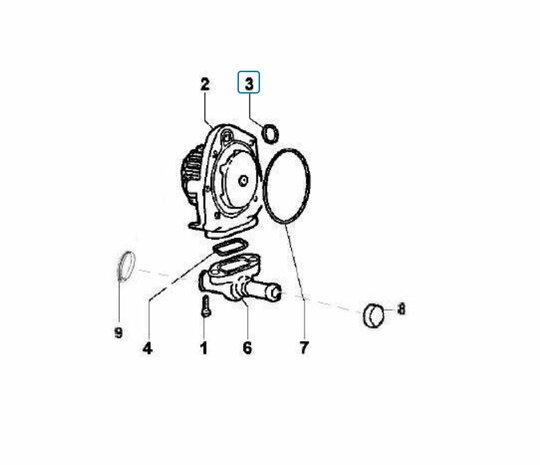 Waterpomp pakking O-ring waterpomp Calessino + Ape Classic + ApeTM Diesel 422cc