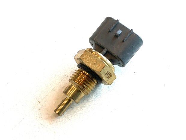 Temperature sensor DFSK 1.0